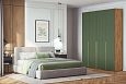 Шкаф распашной Лоренсе-4 Шарли Green