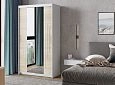 Шкаф-купе Валмиера-4