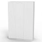 Шкаф распашной Нероли Пуш 3.3.1