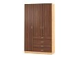 Шкаф распашной Рио-3.9