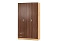 Шкаф распашной Рио-3.3