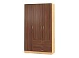 Шкаф распашной Рио-3.8