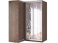 Шкаф-купе угловой Премьер-9