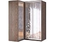 Шкаф-купе угловой Премьер-10